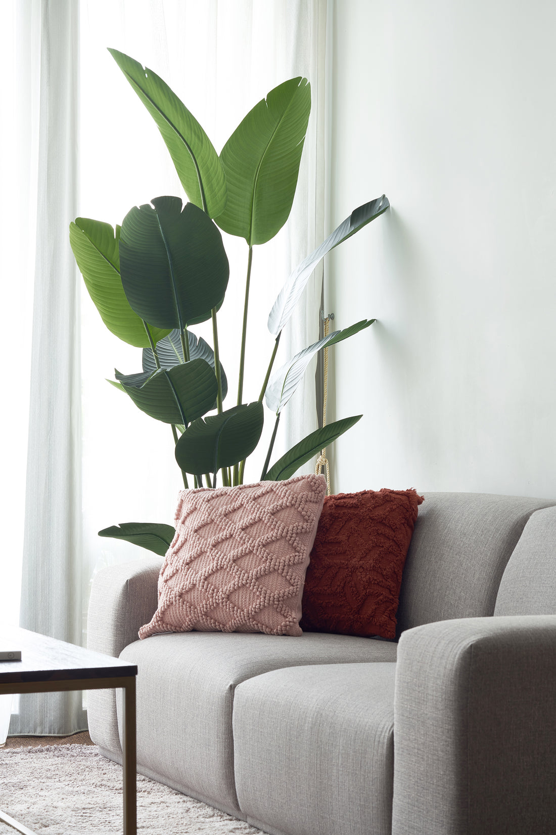 1-Bedroom Staging Package – Maximised Appeal