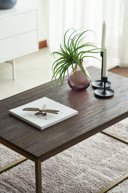 1-Bedroom Staging Package – Maximised Appeal
